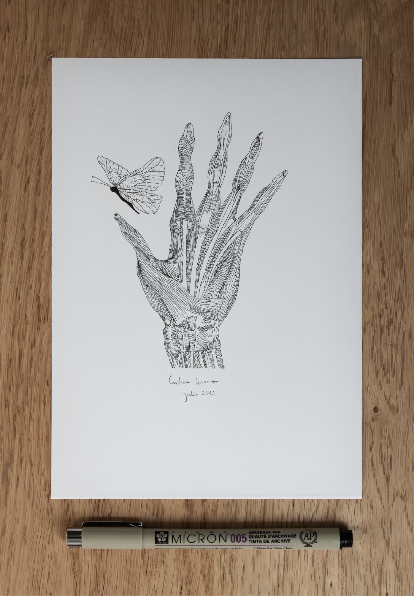 Dibujo original en tinta de una mano anatómica junto a una mariposa.