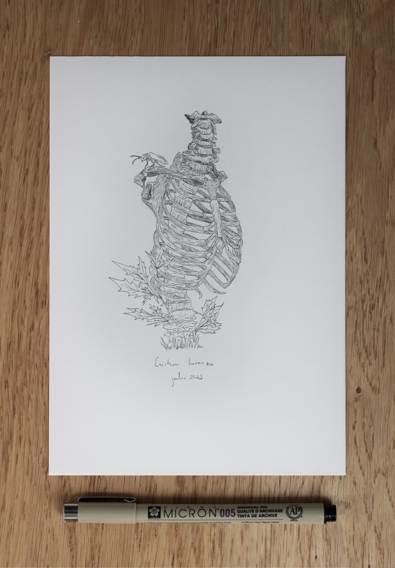 Dibujo original en tinta de un torso y caja torácica fusionados con formas orgánicas.
